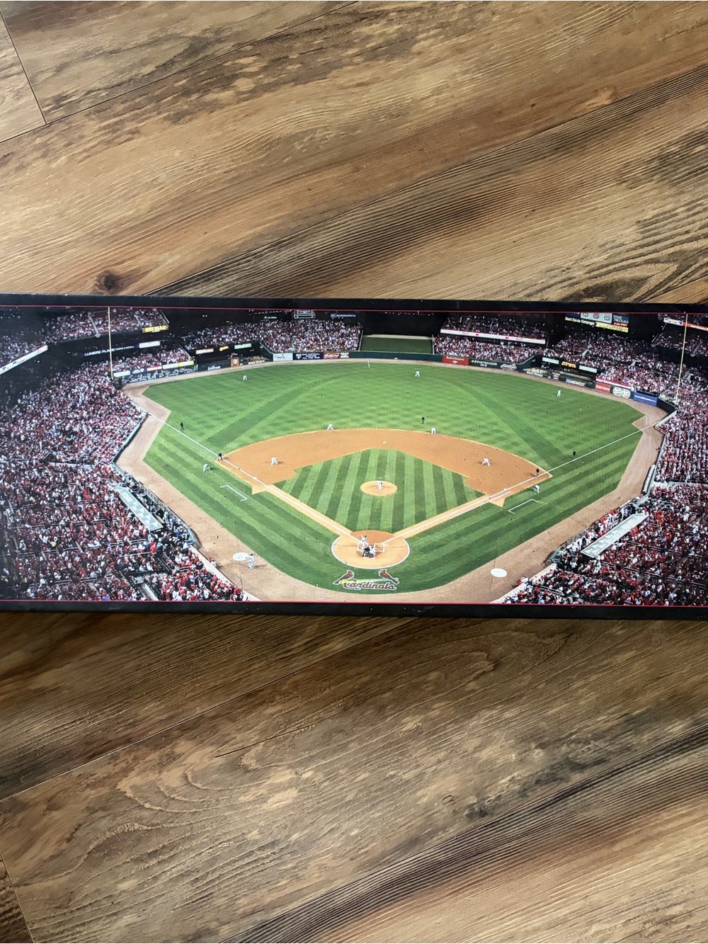 Stadium Panorama Wall Art - Green/Brown Baseball Field Print